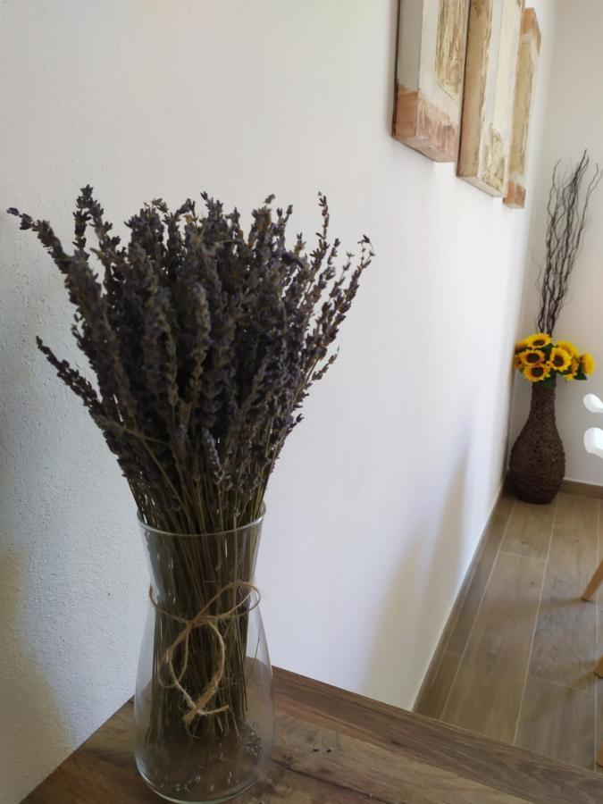 Apartamentos Xert Escapadas En Castellon Cerca De Morella Y Peniscola Chert Sant Mateu Екстериор снимка